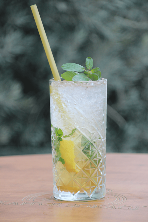 Virgin Mojito