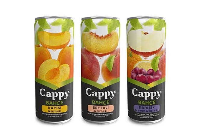 CAPPY MEYVE SUYU (vişne, şeftali, karışık)