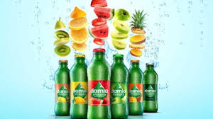 MEYVELİ SODA (elma, limon, karpuz, çilek)